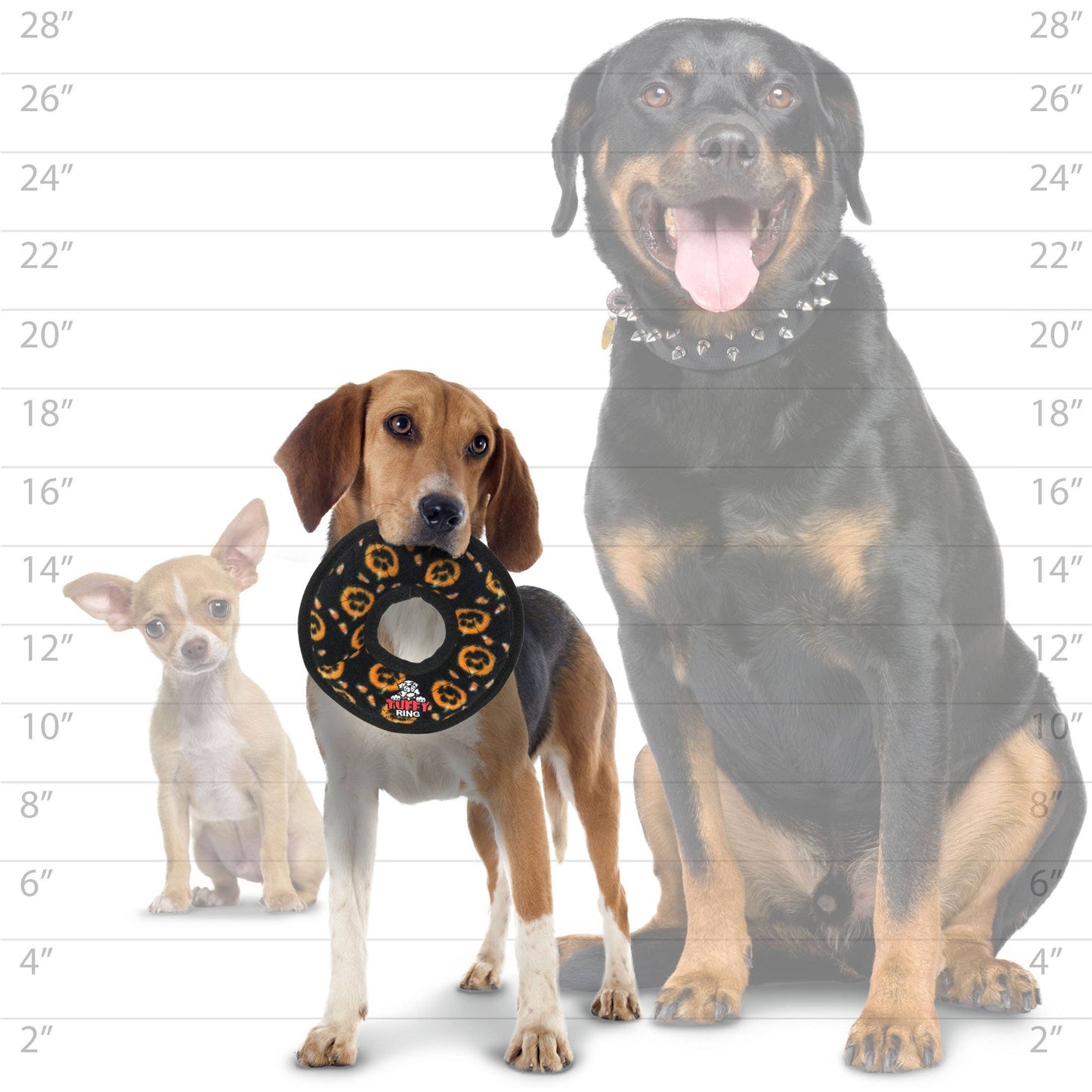 Tuffy Holiday Jr Ring Pumpkin, Durable Squeaky Dog Toy