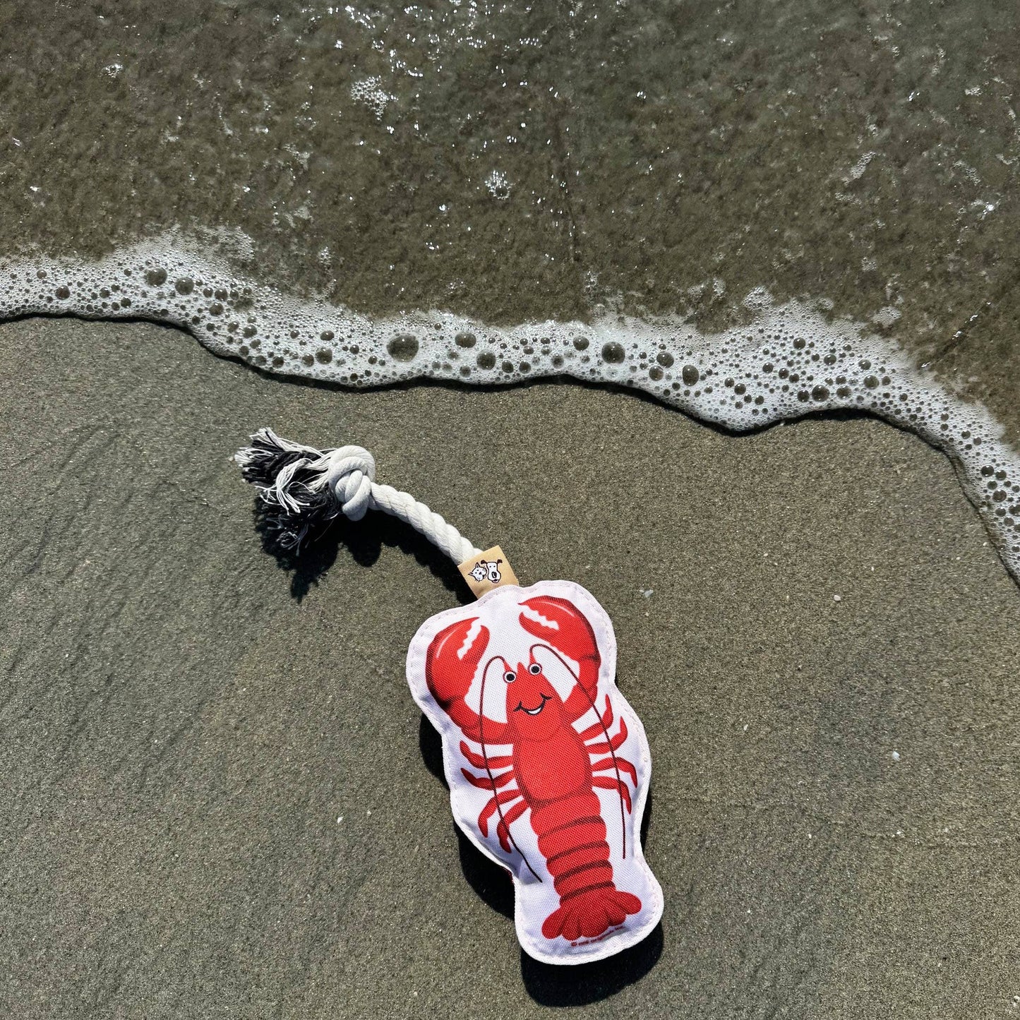 Rope Dog Toy | Lobster
