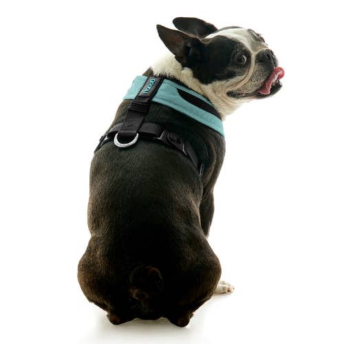 #04231 - Escape Free Comfort X One Harness