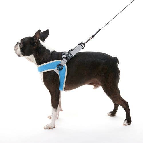 #04844 - Simple Step-In Harness III