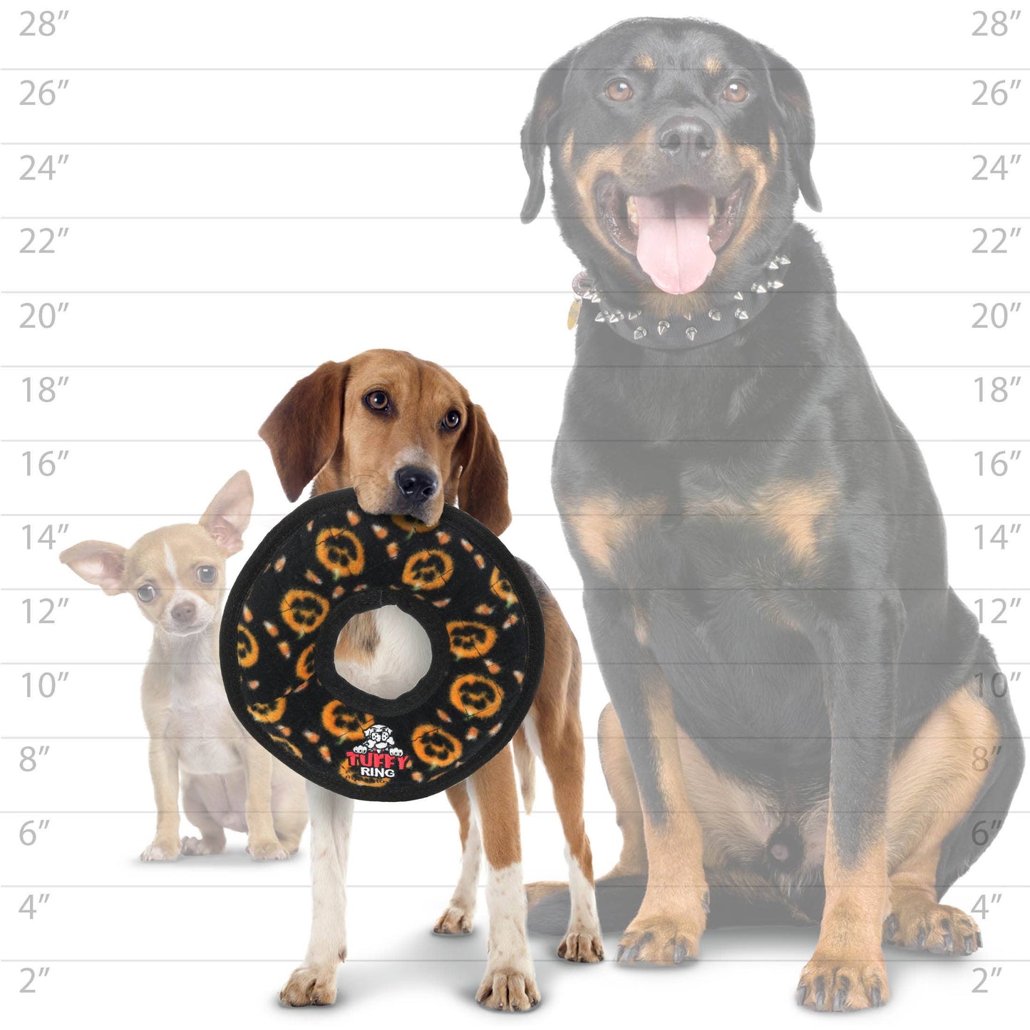 Tuffy Holiday Medium Ring Pumpkin, Durable Squeaky Dog Toy