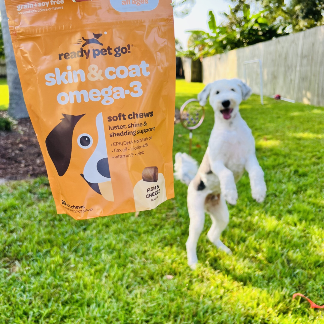 Omega 3 Fish Oil Supplement Chews for Dogs - Skin & Coat