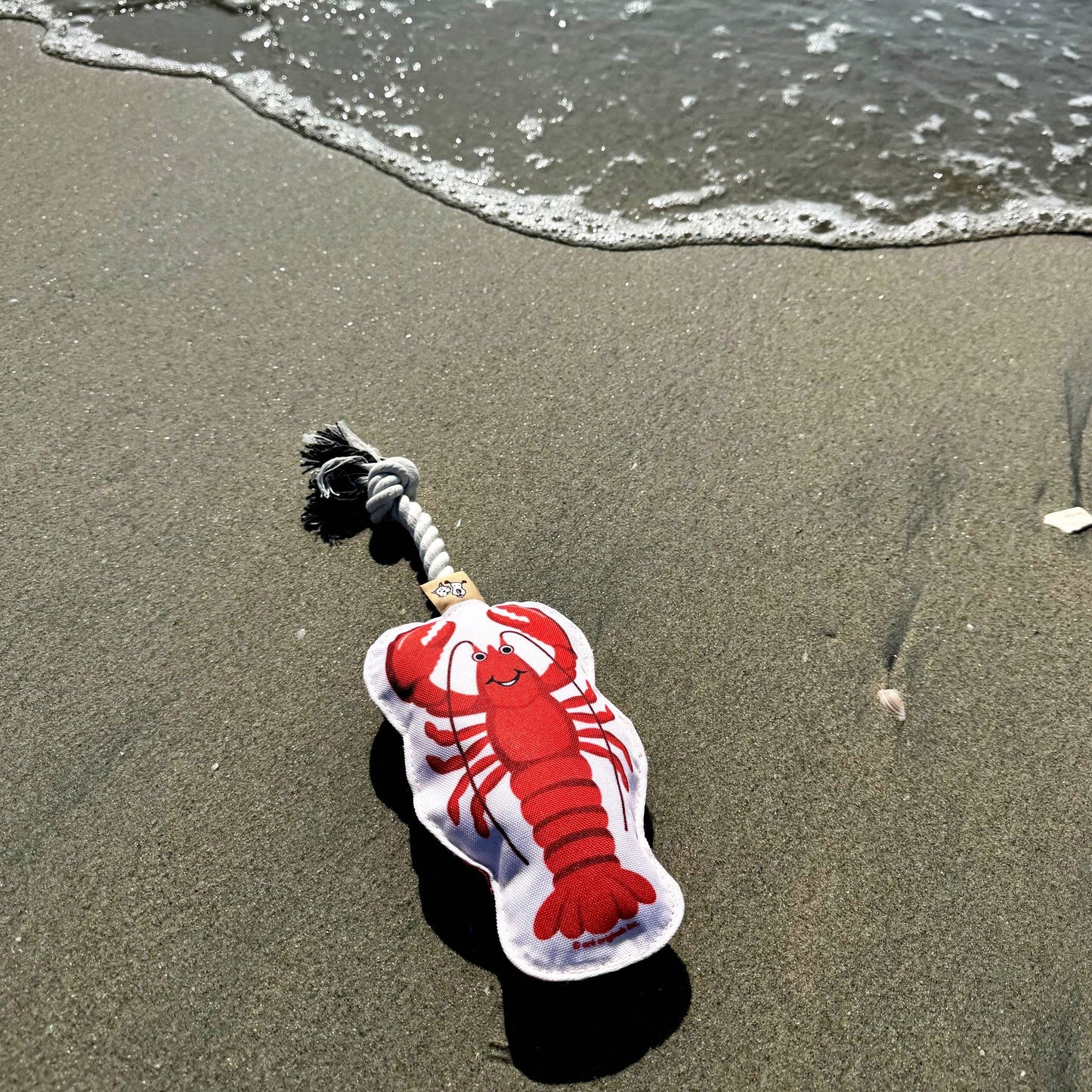 Rope Dog Toy | Lobster