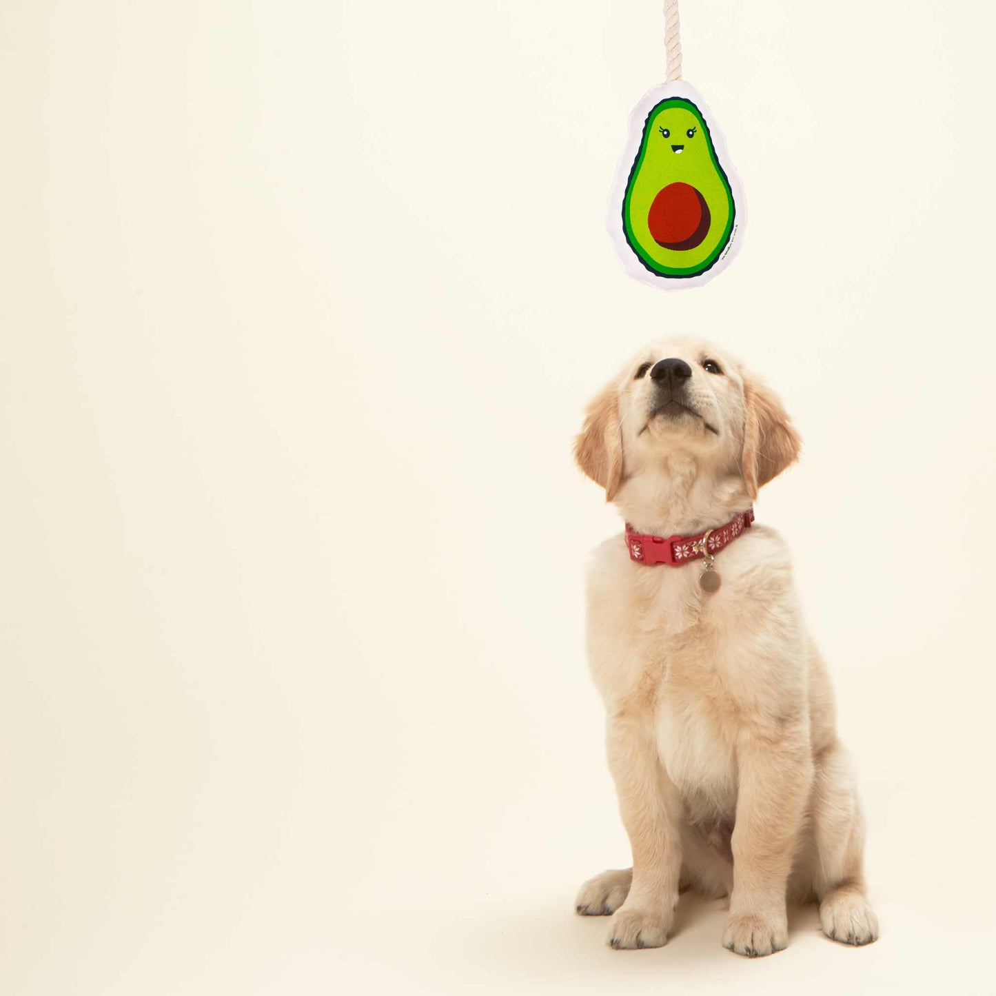 Rope Dog Toy | Avocado