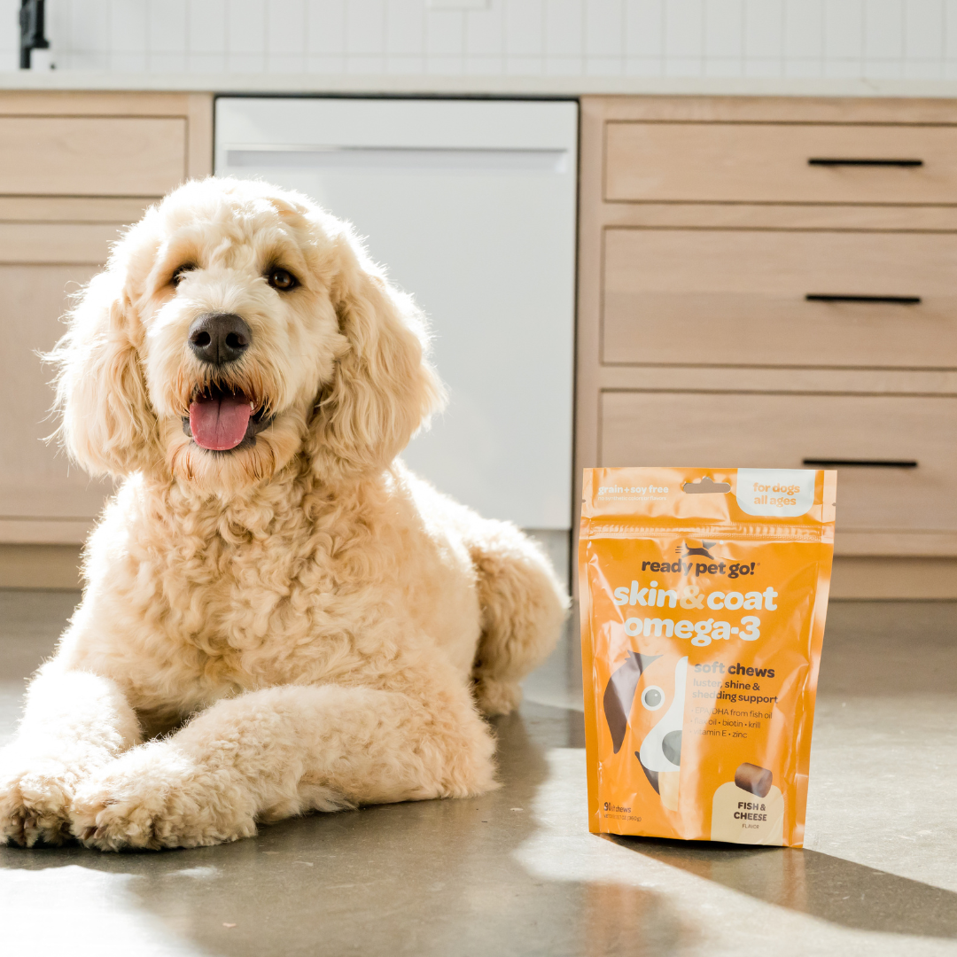 Omega 3 Fish Oil Supplement Chews for Dogs - Skin & Coat