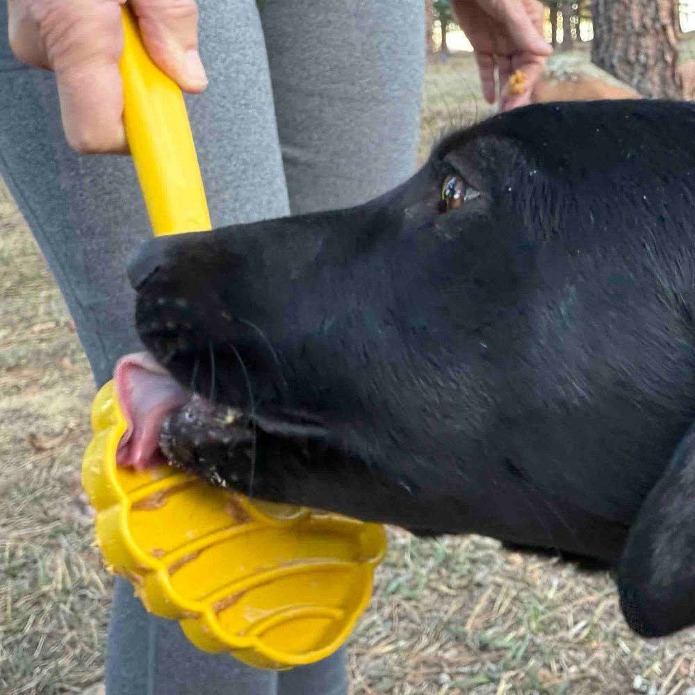 Lick Stick Hand-Held Interactive Enrichment Toys
