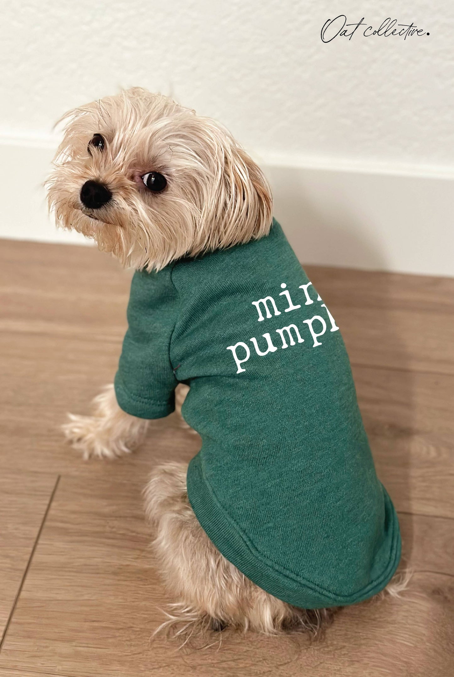 MINI PUMPKIN Pet Graphic Sweatshirt