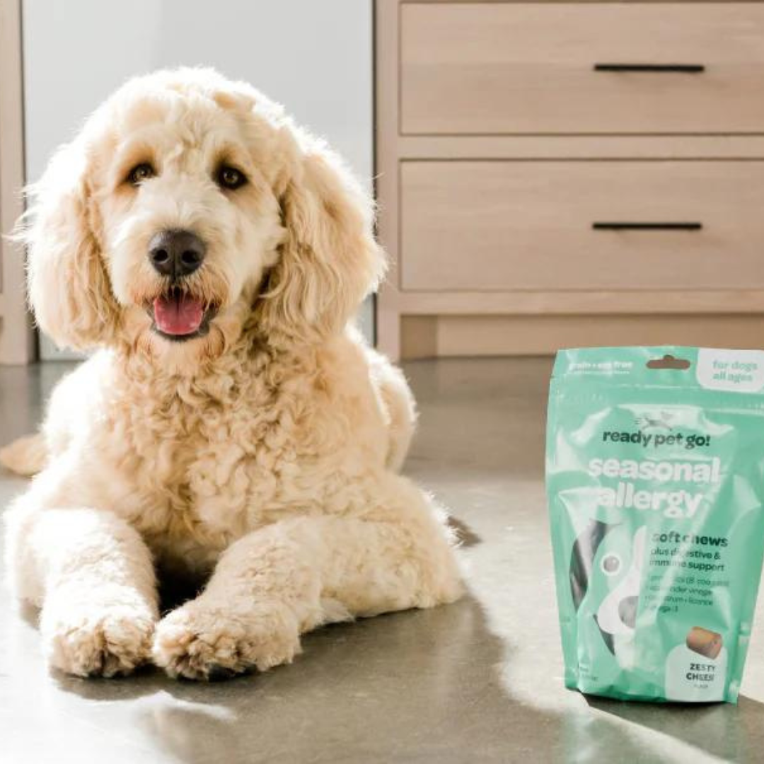 All-Natural Seasonal Allergy Relief Chews for Dogs