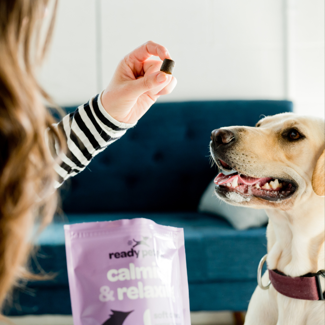 Calming & Relaxing Dog Chews for Anxiety & Stress Relief