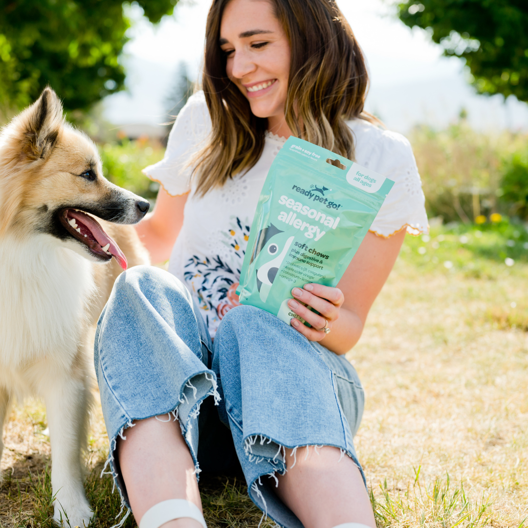 All-Natural Seasonal Allergy Relief Chews for Dogs