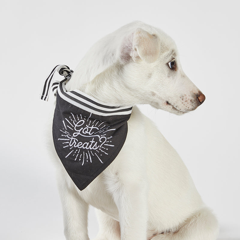 Pet Bandana - Got Treats Creative Brands