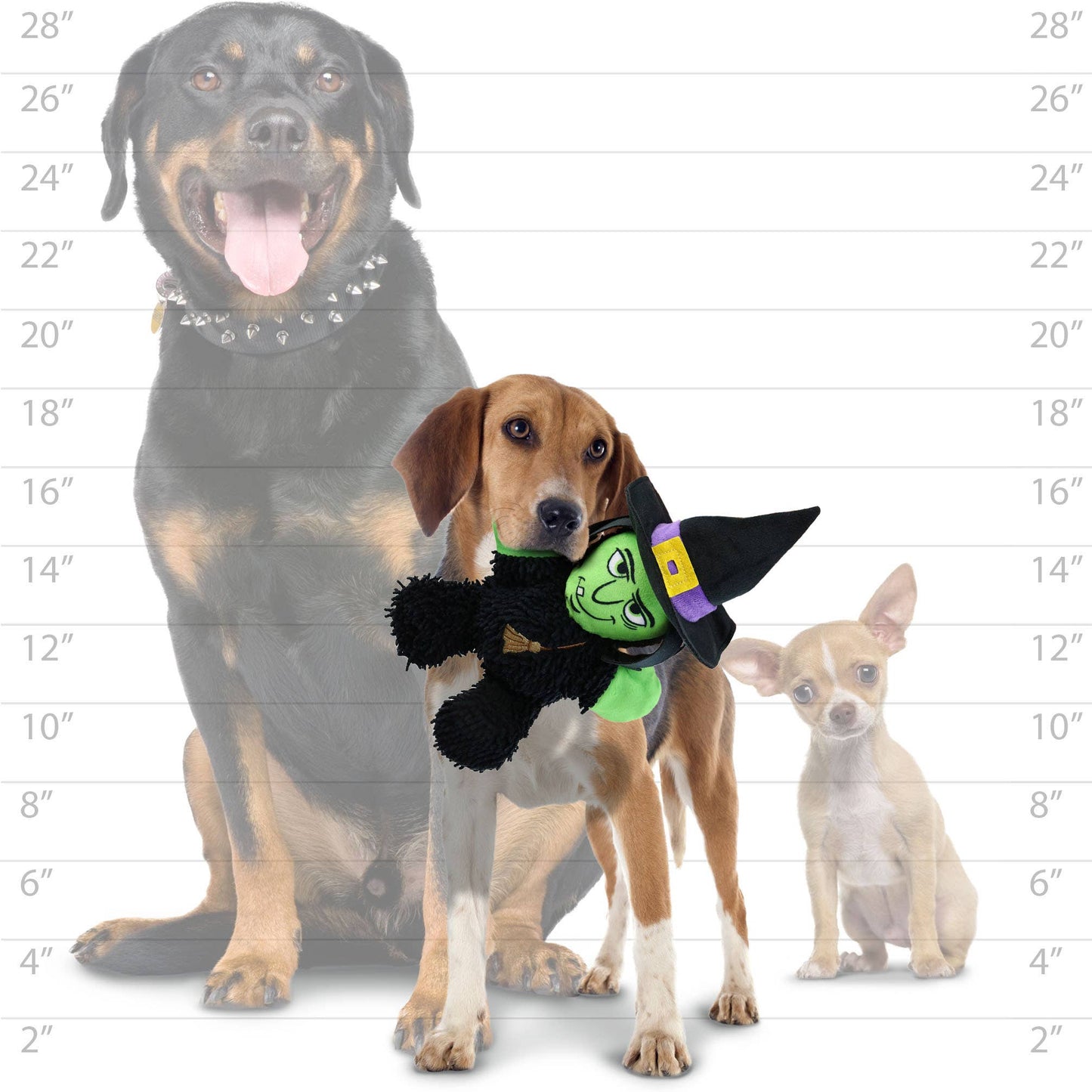 Mighty Microfiber Ball Med Witch, Halloween Dog Toy