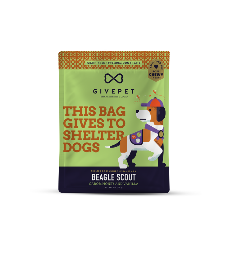 Beagle Scout GivePet