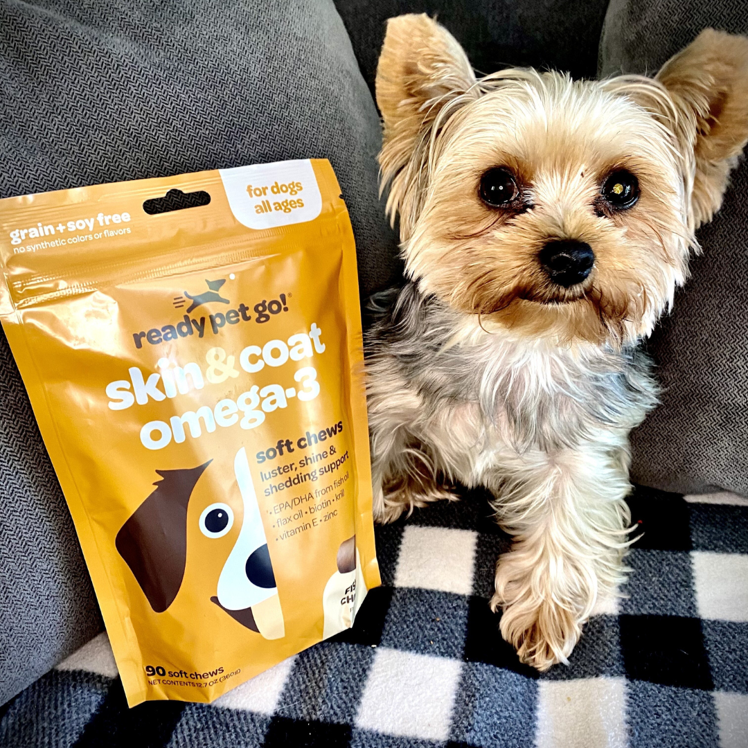 Omega 3 Fish Oil Supplement Chews for Dogs - Skin & Coat