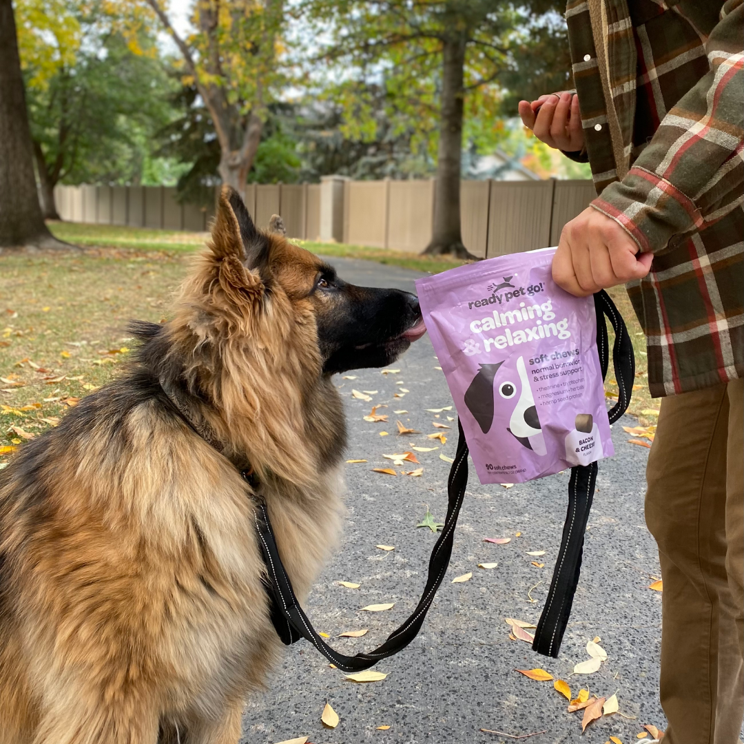 Calming & Relaxing Dog Chews for Anxiety & Stress Relief