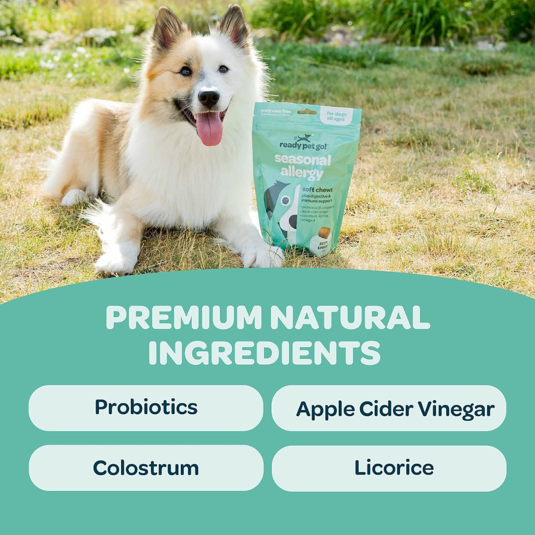 All-Natural Seasonal Allergy Relief Chews for Dogs