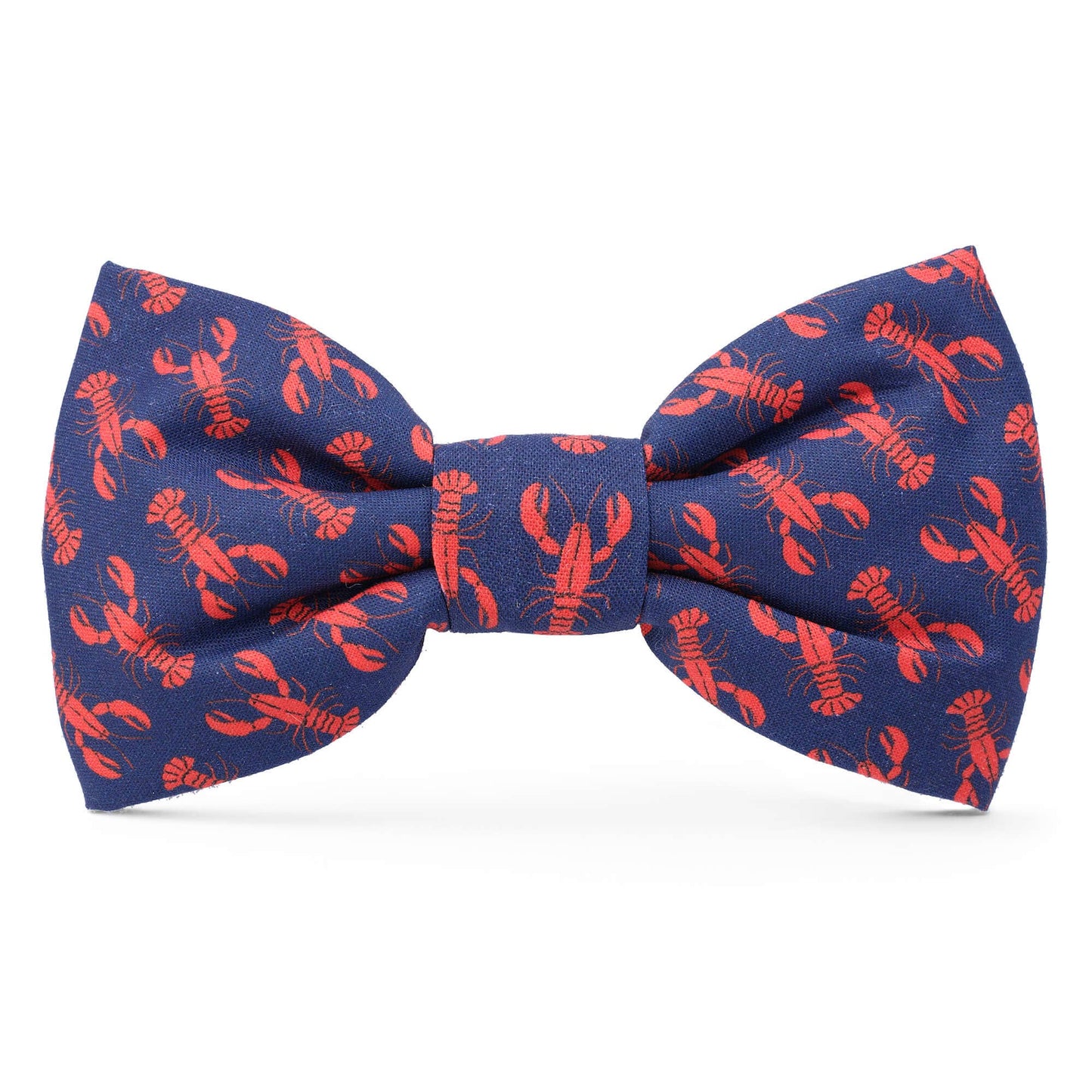 Catch of the Day Summer Dog Bow Tie The Foggy Dog Standard