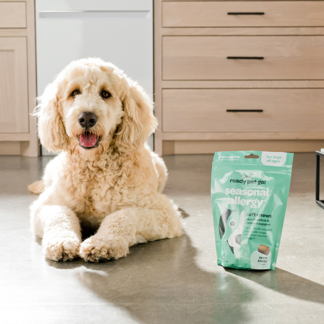 All-Natural Seasonal Allergy Relief Chews for Dogs