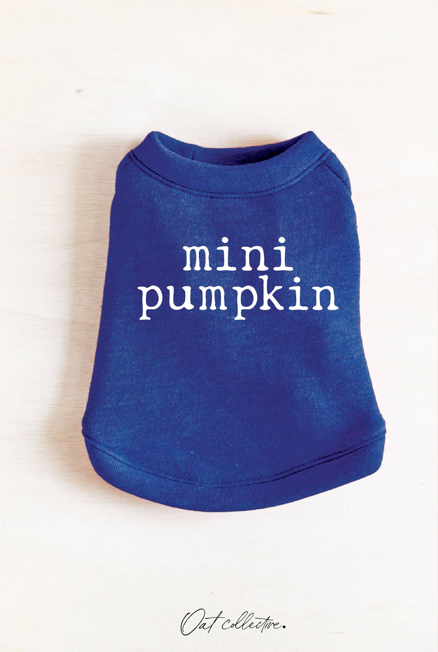 MINI PUMPKIN Pet Graphic Sweatshirt