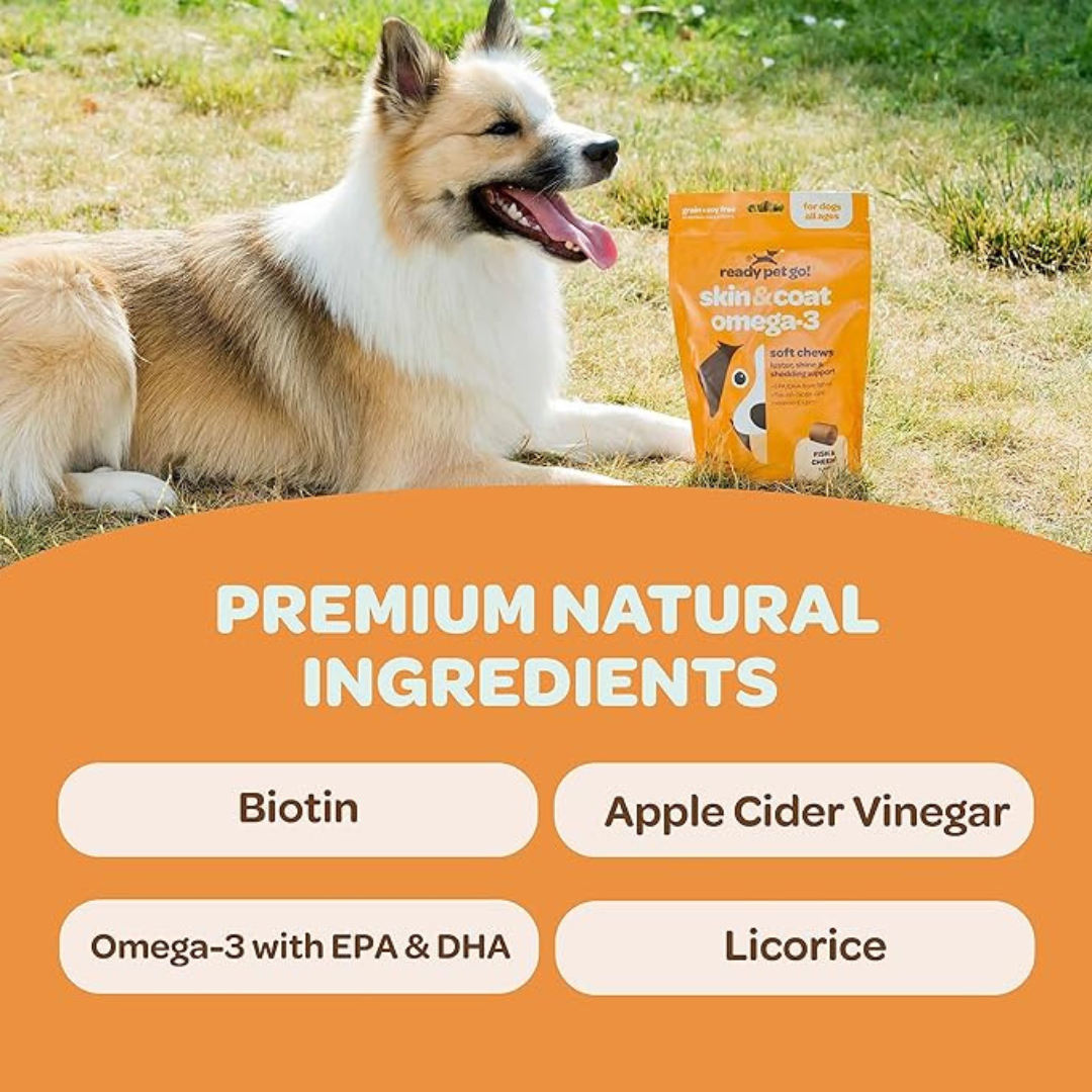 Omega 3 Fish Oil Supplement Chews for Dogs - Skin & Coat