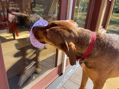 Lotus eMat Enrichment Lick Mat With Suction Cups