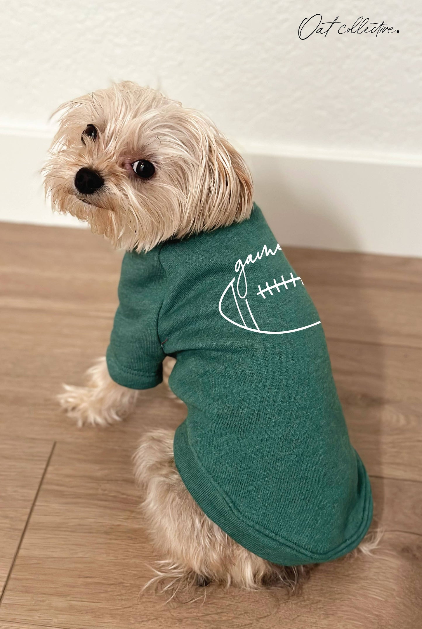 GAME DAY FOOTBALL Pet Graphic Sweatshirt