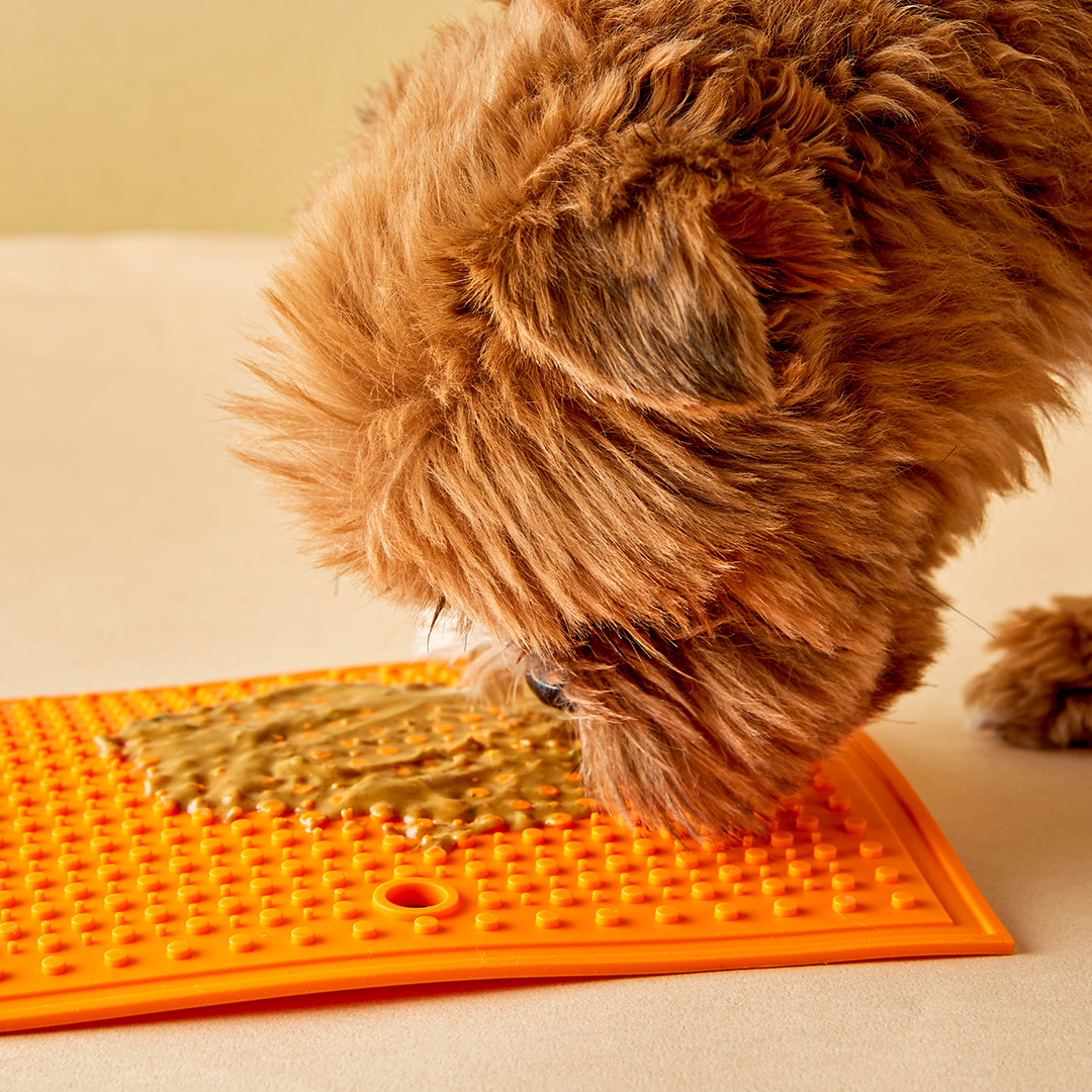 Square Silicone Lick Pad for Dogs