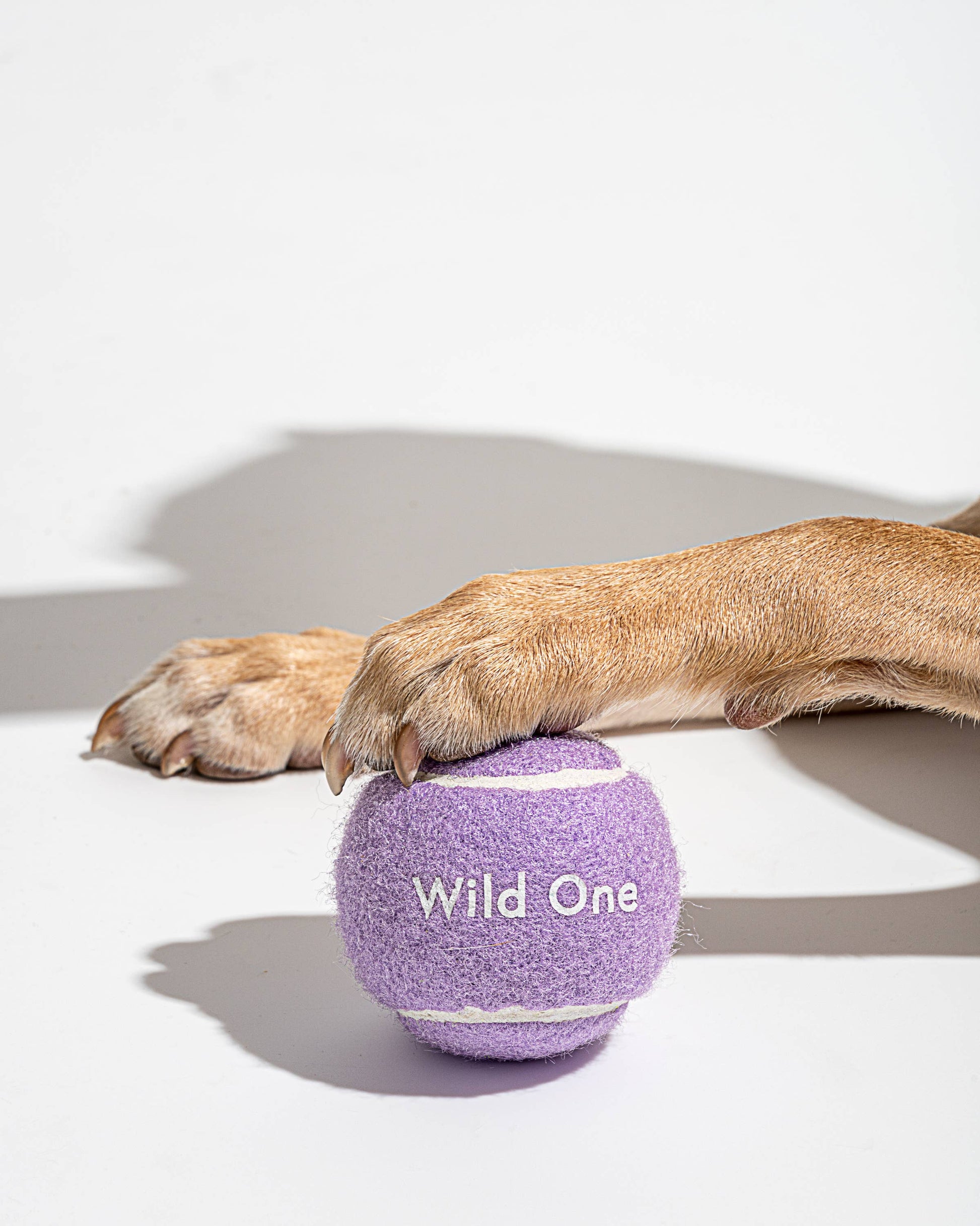 4-Pack Dog Tennis Balls Wild One