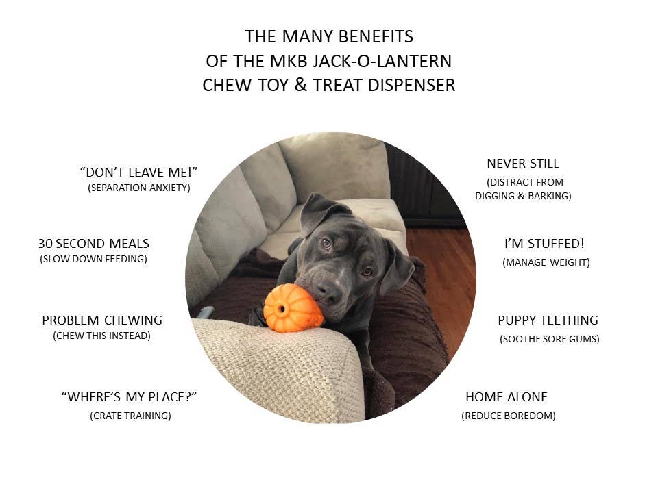 Halloween Jack O' Lantern - Chew Toy-Treat Dispenser