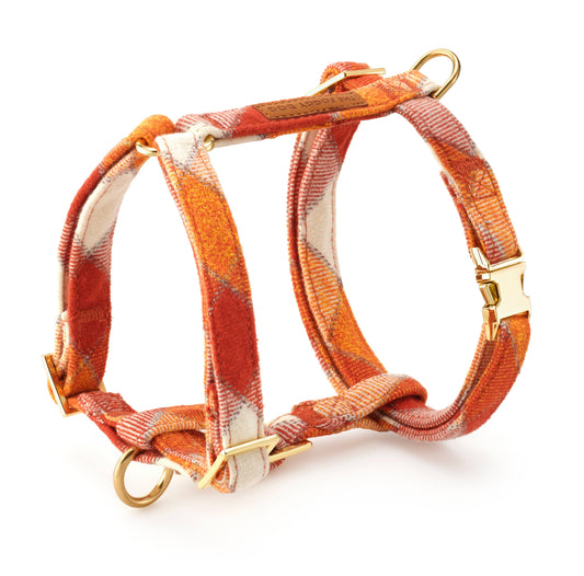Pumpkin Spice Flannel Harness