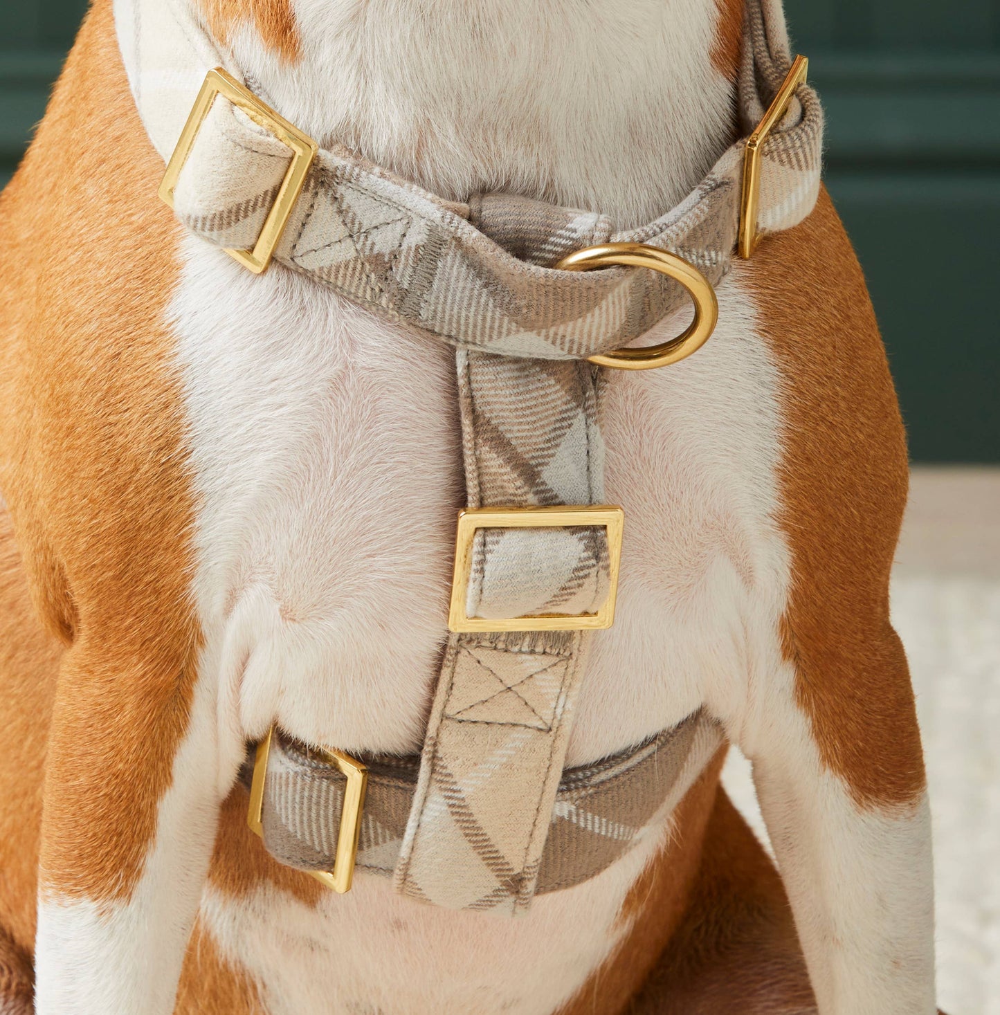 Andover Plaid Flannel Harness