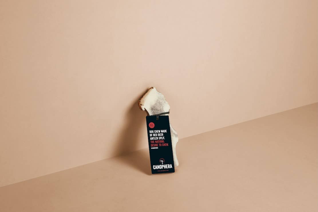 Dog Chew Made of Red Deer Antler Splits.