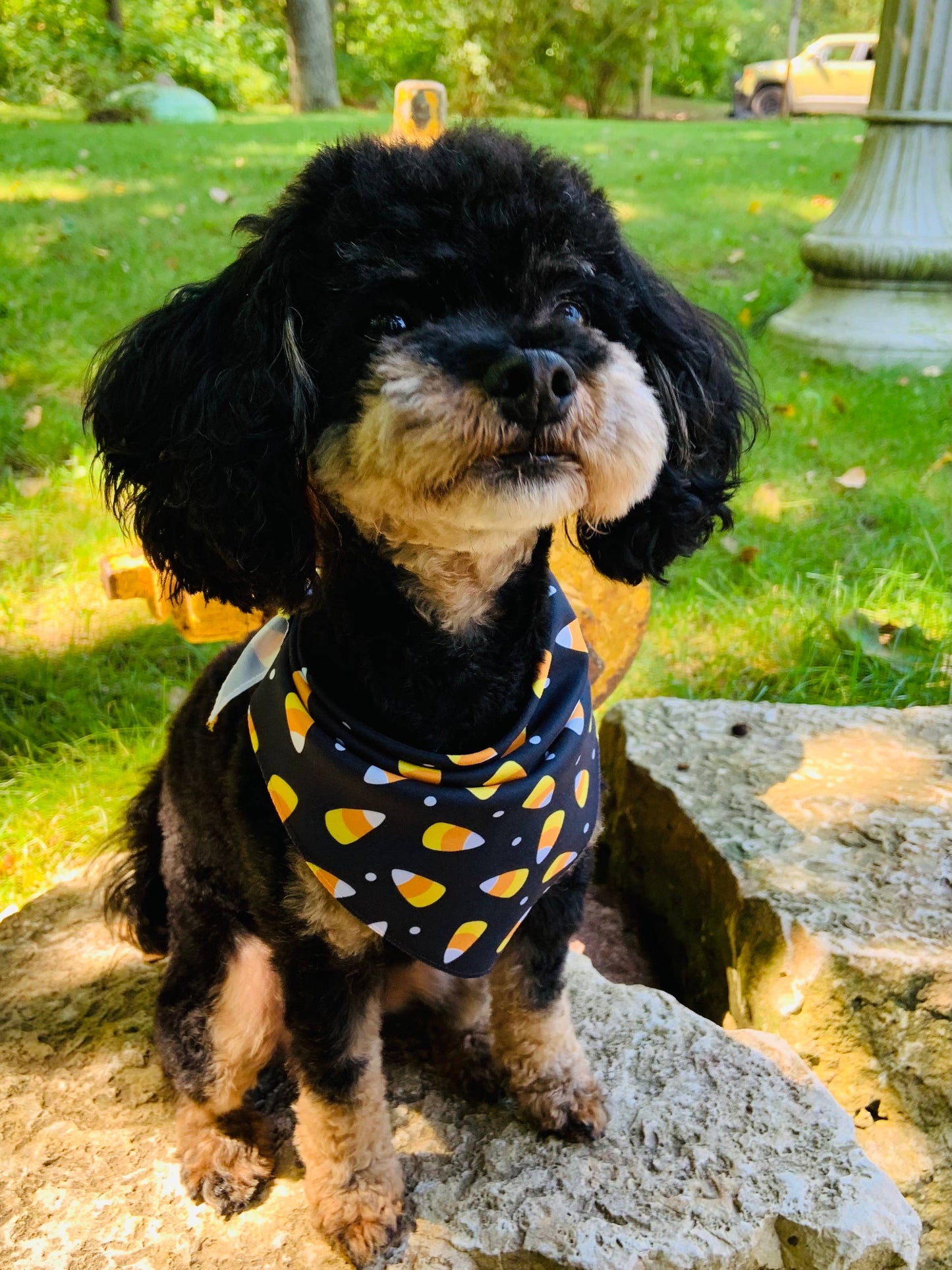 Candy Corn - Halloween Pet Bandana