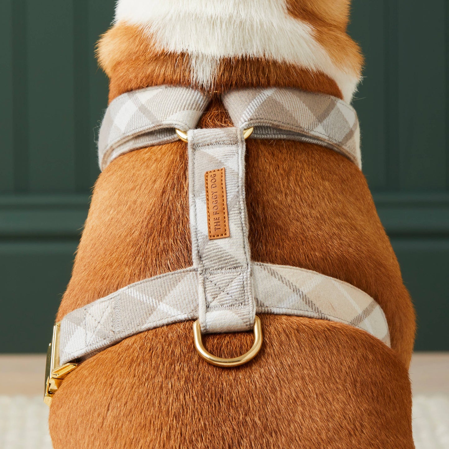 Andover Plaid Flannel Harness