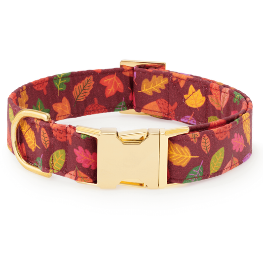 Nuts about You Dog Collar