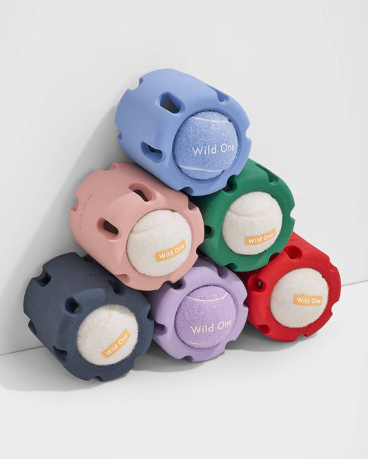 Tennis Tumble Interactive Dog Toy Wild One