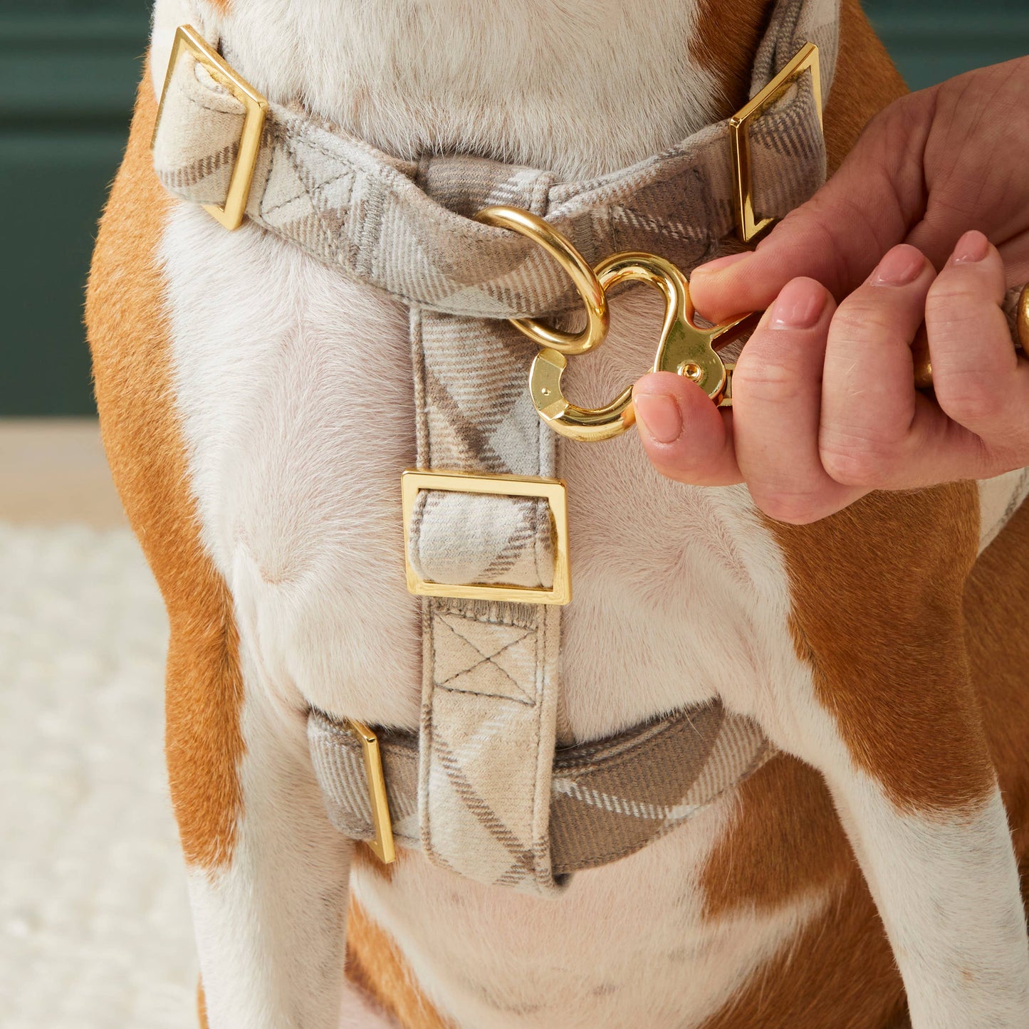 Andover Plaid Flannel Harness