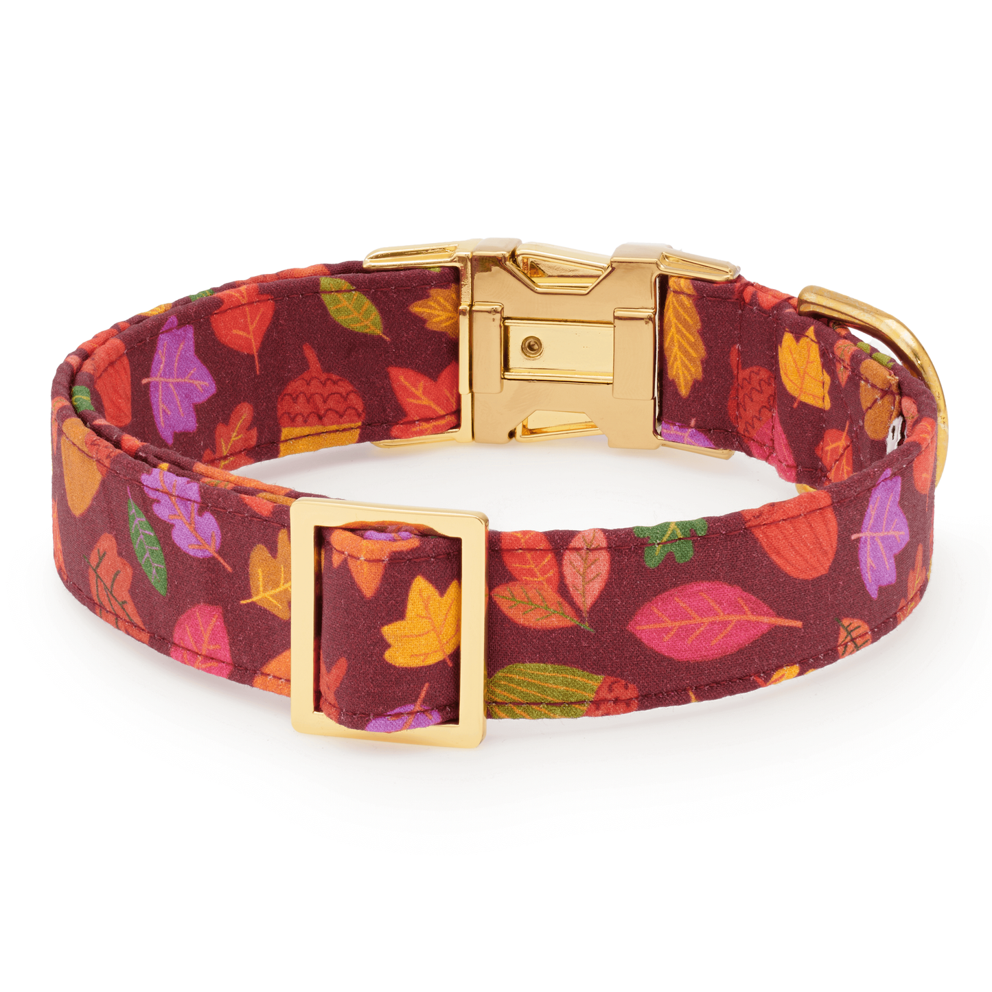 Nuts about You Dog Collar