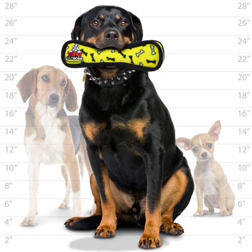 Tuffy Ultimate Bone - Yellow Bone, Durable, Squeaky Dog Toy