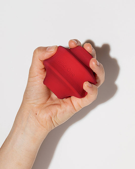 Twist Toss Treat Dispensing Dog Toy Wild One