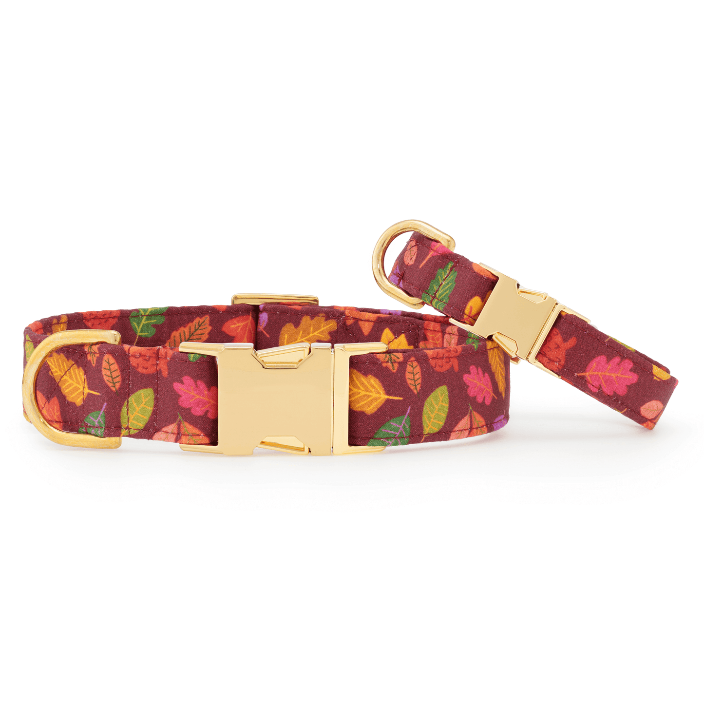 Nuts about You Dog Collar